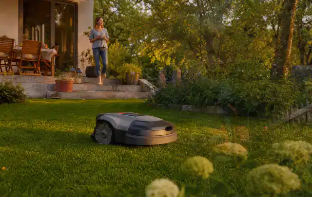 Mähroboter fährt am Abend über einen Rasen im Familiengarten; Thema Mähroboter mit GPS, Schwerpunkt Winterlager; Praxisalltag.