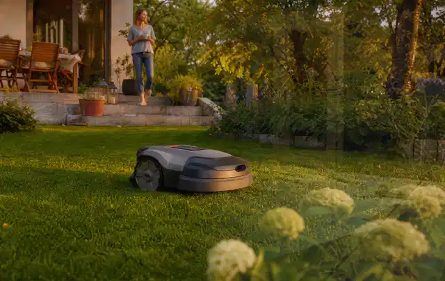 Mähroboter fährt am Abend über einen Rasen im Familiengarten; Thema Mähroboter ohne Begrenzungskabel, Schwerpunkt Anwendung; Umsetzung.