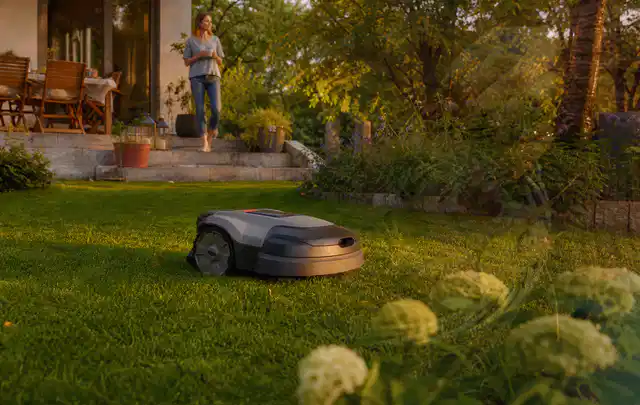Mähroboter fährt am Abend über einen Rasen im Familiengarten; Thema Mähroboter ohne Begrenzungskabel, Schwerpunkt Bestenliste; Ausgangslage.