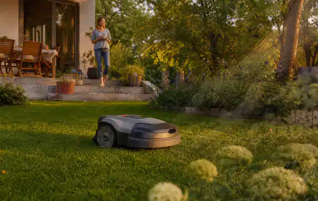 Mähroboter fährt am Abend über einen Rasen im Familiengarten; Thema Mähroboter ohne Begrenzungskabel, Schwerpunkt Dimensionierung; Praxisalltag.