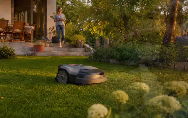 Mähroboter fährt am Abend über einen Rasen im Familiengarten; Thema Mähroboter ohne Begrenzungskabel, Schwerpunkt Fehlerhilfe; Ergebnis.
