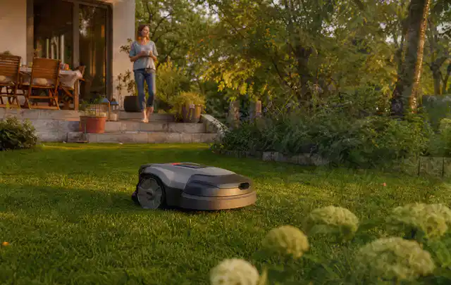 Mähroboter fährt am Abend über einen Rasen im Familiengarten; Thema Mähroboter ohne Begrenzungskabel, Schwerpunkt Gärten mit großer Fläche; Kontrolle.