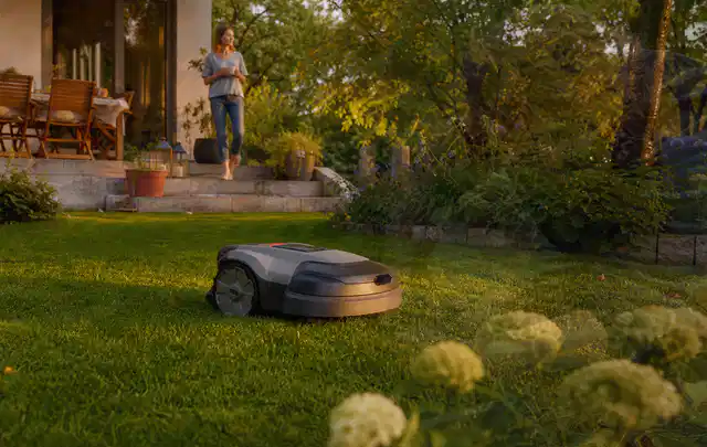 Mähroboter fährt am Abend über einen Rasen im Familiengarten; Thema Mähroboter ohne Begrenzungskabel, Schwerpunkt Gärten mit kleiner Fläche; Kontrolle.