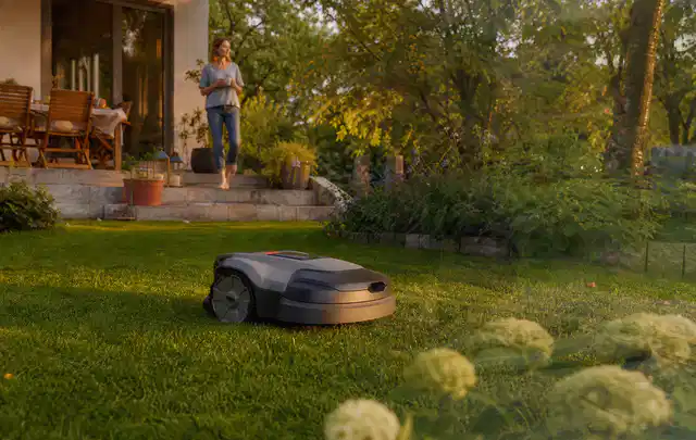 Mähroboter fährt am Abend über einen Rasen im Familiengarten; Thema Mähroboter ohne Begrenzungskabel, Schwerpunkt Kaufberatung; Umsetzung.