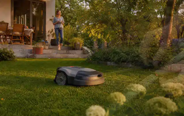 Mähroboter fährt am Abend über einen Rasen im Familiengarten; Thema Mähroboter ohne Begrenzungskabel, Schwerpunkt Kosten; Ergebnis.