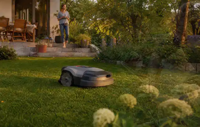 Mähroboter fährt am Abend über einen Rasen im Familiengarten; Thema Mähroboter ohne Begrenzungskabel, Schwerpunkt Reinigung; Ausgangslage.