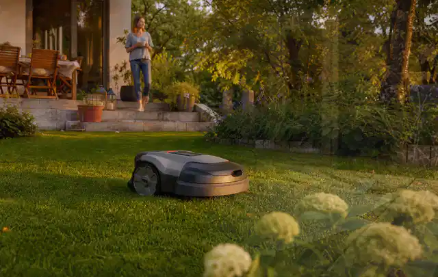 Mähroboter fährt am Abend über einen Rasen im Familiengarten; Thema Mähroboter ohne Begrenzungskabel, Schwerpunkt Reparatur; Kontrolle.