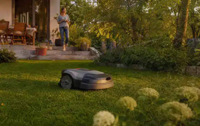 Mähroboter fährt am Abend über einen Rasen im Familiengarten; Thema Mähroboter ohne Begrenzungskabel, Schwerpunkt Systemvergleich; Kontrolle.