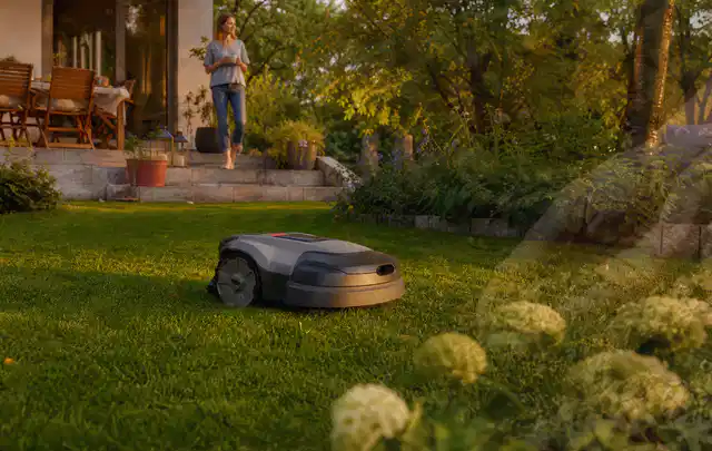 Mähroboter fährt am Abend über einen Rasen im Familiengarten; Thema Mähroboter ohne Begrenzungskabel, Schwerpunkt Vergleich; Praxisalltag.