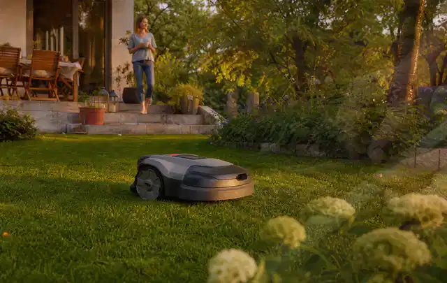 Mähroboter fährt am Abend über einen Rasen im Familiengarten; Thema Mähroboter ohne Begrenzungskabel, Schwerpunkt Wartung; Ergebnis.