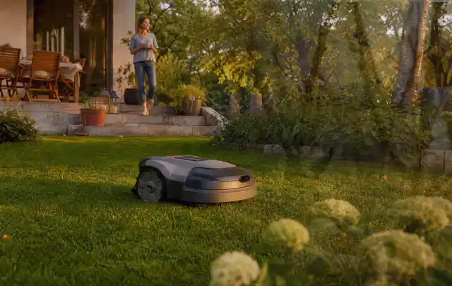 Mähroboter fährt am Abend über einen Rasen im Familiengarten; Thema Mähroboter, Schwerpunkt Themenwelt; Kontrolle.
