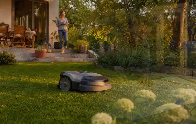 Mähroboter fährt am Abend über einen Rasen im Familiengarten; Thema Mammotion Luba, Schwerpunkt Anwendung; Kontrolle.