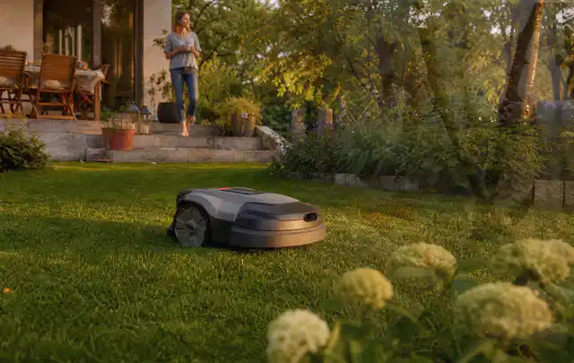 Mähroboter fährt am Abend über einen Rasen im Familiengarten; Thema Mammotion Luba, Schwerpunkt Ersatzteile; Ergebnis.