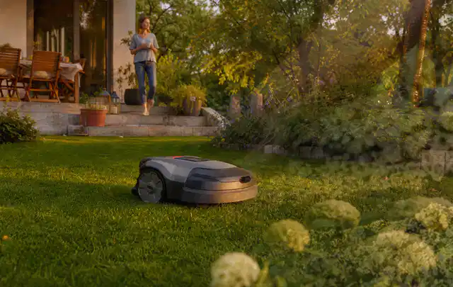 Mähroboter fährt am Abend über einen Rasen im Familiengarten; Thema Mammotion Luba, Schwerpunkt Gärten mit großer Fläche; Umsetzung.