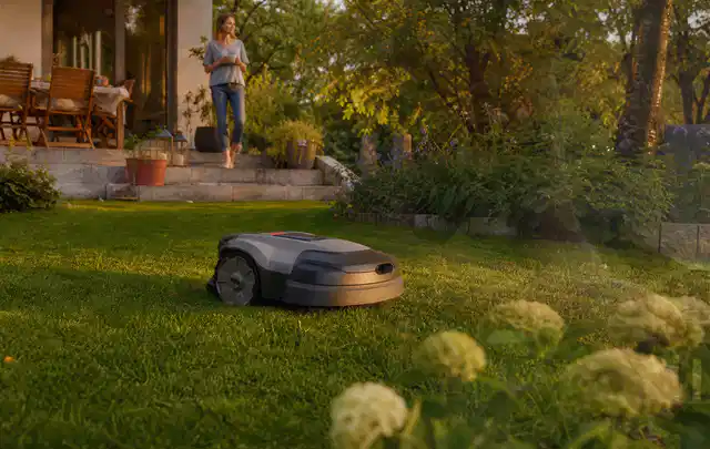 Mähroboter fährt am Abend über einen Rasen im Familiengarten; Thema Mammotion Luba, Schwerpunkt Gärten mit kleiner Fläche; Umsetzung.
