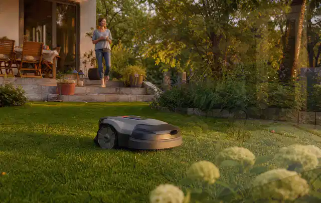 Mähroboter fährt am Abend über einen Rasen im Familiengarten; Thema Mammotion Luba, Schwerpunkt Kaufberatung; Ergebnis.