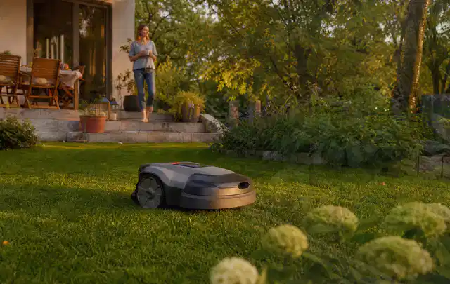 Mähroboter fährt am Abend über einen Rasen im Familiengarten; Thema Mammotion Luba, Schwerpunkt Kosten; Ergebnis.