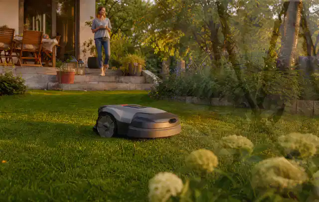 Mähroboter fährt am Abend über einen Rasen im Familiengarten; Thema Mammotion Luba, Schwerpunkt Mähroboter; Kontrolle.