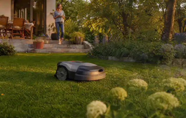 Mähroboter fährt am Abend über einen Rasen im Familiengarten; Thema Mammotion Luba, Schwerpunkt Nachhaltigkeit; Ergebnis.