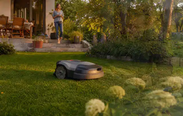 Mähroboter fährt am Abend über einen Rasen im Familiengarten; Thema Mammotion Luba, Schwerpunkt Reinigung; Umsetzung.