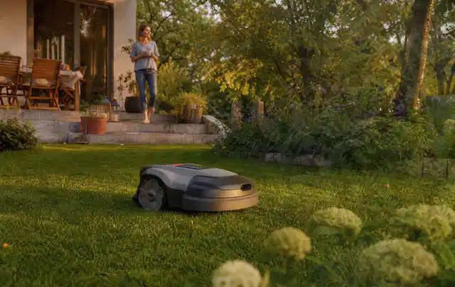 Mähroboter fährt am Abend über einen Rasen im Familiengarten; Thema Mammotion Luba, Schwerpunkt Reparatur; Umsetzung.