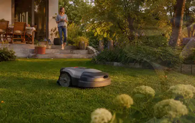 Mähroboter fährt am Abend über einen Rasen im Familiengarten; Thema Mammotion Luba, Schwerpunkt Systemvergleich; Kontrolle.