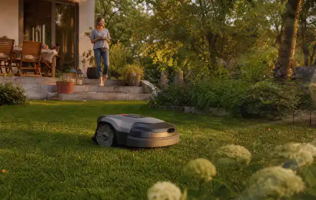 Mähroboter fährt am Abend über einen Rasen im Familiengarten; Thema Mammotion Luba, Schwerpunkt Testkriterien; Umsetzung.