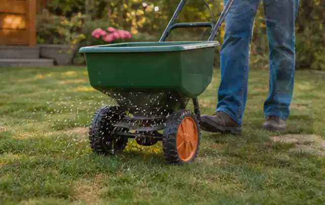Person verteilt Rasensamen mit einem Streuwagen auf einer lückigen Fläche; Thema Mammotion Luba, Schwerpunkt Wartung; Ausgangslage.