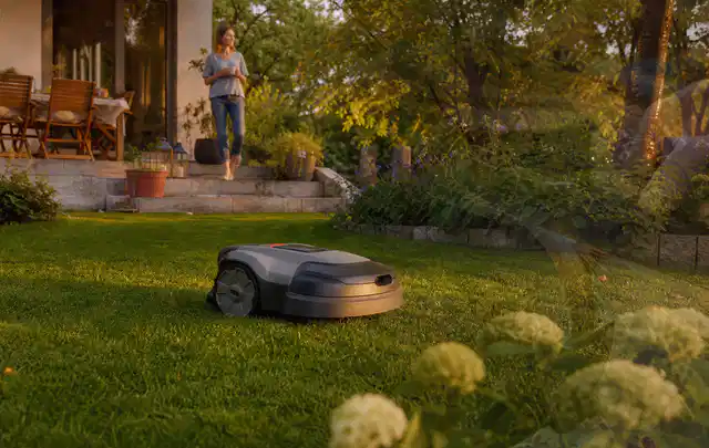 Mähroboter fährt am Abend über einen Rasen im Familiengarten; Thema Mammotion Luba, Schwerpunkt Winterlager; Kontrolle.