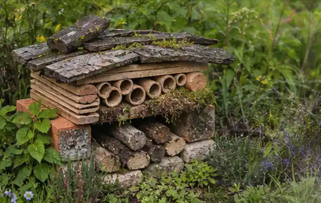 Naturnaher Unterschlupf aus Holz Rinde und Pflanzenstängeln im Garten; Thema Maulwürfe, Schwerpunkt Bestimmung; Ergebnis.