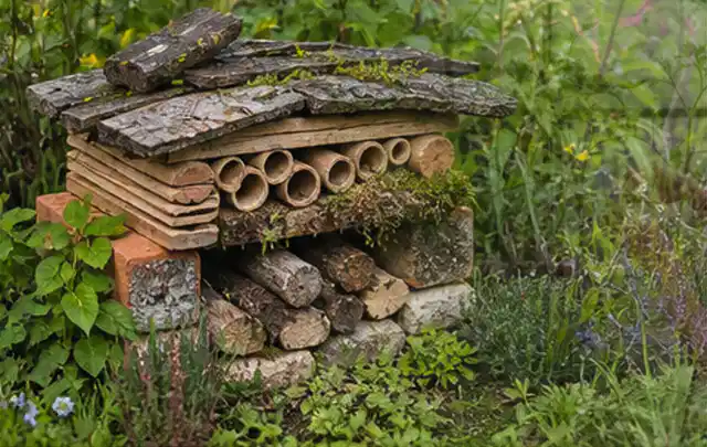 Naturnaher Unterschlupf aus Holz Rinde und Pflanzenstängeln im Garten; Thema Maulwürfe, Schwerpunkt Rasenhilfe; Ausgangslage.