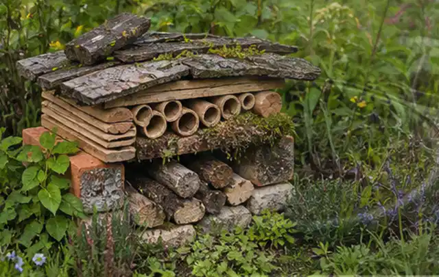 Naturnaher Unterschlupf aus Holz Rinde und Pflanzenstängeln im Garten; Thema Maulwürfe, Schwerpunkt Schädlinge Krankheiten; Ergebnis.