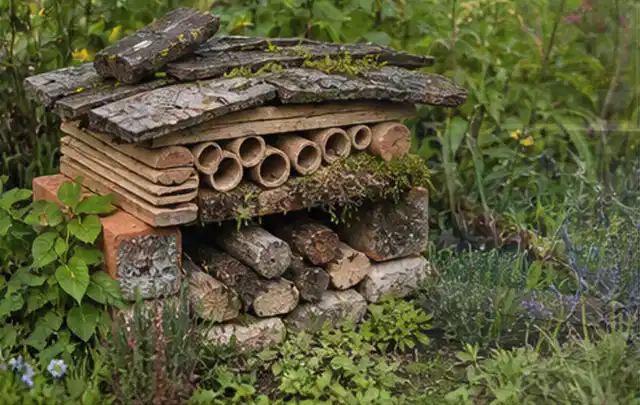Naturnaher Unterschlupf aus Holz Rinde und Pflanzenstängeln im Garten; Thema Mediterraner Garten, Schwerpunkt gestalten; Ergebnis.