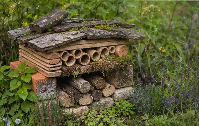 Naturnaher Unterschlupf aus Holz Rinde und Pflanzenstängeln im Garten; Thema Mediterraner Garten, Schwerpunkt Wegeführung; Umsetzung.