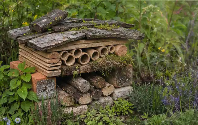 Naturnaher Unterschlupf aus Holz Rinde und Pflanzenstängeln im Garten; Thema Mehltau, Schwerpunkt Bestimmung; Kontrolle.
