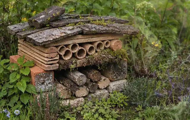 Naturnaher Unterschlupf aus Holz Rinde und Pflanzenstängeln im Garten; Thema Mehltau, Schwerpunkt Natürliche Bekämpfung; Ausgangslage.