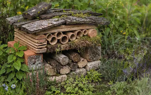Naturnaher Unterschlupf aus Holz Rinde und Pflanzenstängeln im Garten; Thema Mehltau, Schwerpunkt Pflanzenhilfe; Kontrolle.