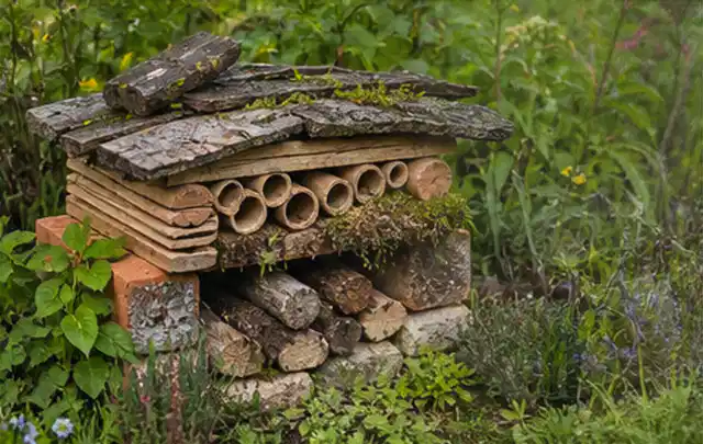 Naturnaher Unterschlupf aus Holz Rinde und Pflanzenstängeln im Garten; Thema Mehltau, Schwerpunkt Saison; Praxisalltag.