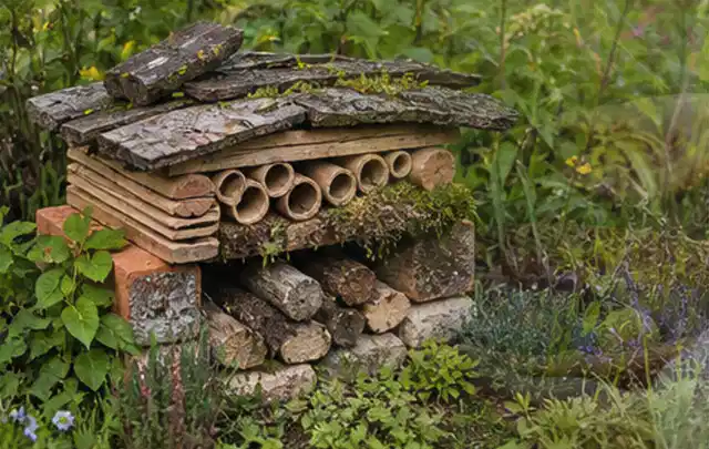 Naturnaher Unterschlupf aus Holz Rinde und Pflanzenstängeln im Garten; Thema Mehltau, Schwerpunkt Soforthilfe; Praxisalltag.