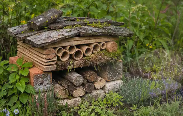 Naturnaher Unterschlupf aus Holz Rinde und Pflanzenstängeln im Garten; Thema Mehltau, Schwerpunkt Ursachen; Kontrolle.