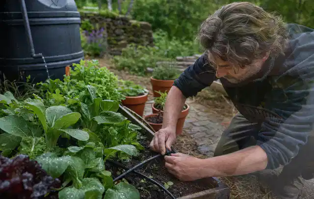 Person stellt die Bewässerung an einem bepflanzten Hochbeet ein; Thema Micro Drip Systeme, Schwerpunkt Kaufberatung; Umsetzung.
