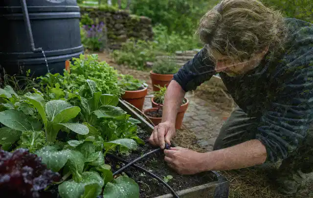 Person stellt die Bewässerung an einem bepflanzten Hochbeet ein; Thema Micro Drip Systeme, Schwerpunkt Kosten; Ausgangslage.