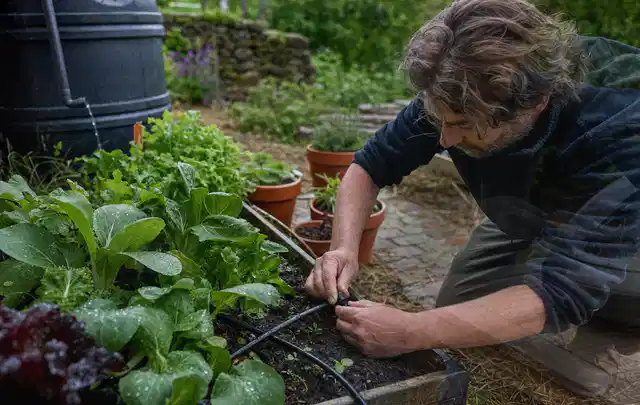 Person stellt die Bewässerung an einem bepflanzten Hochbeet ein; Thema Micro Drip Systeme, Schwerpunkt Leistung; Umsetzung.