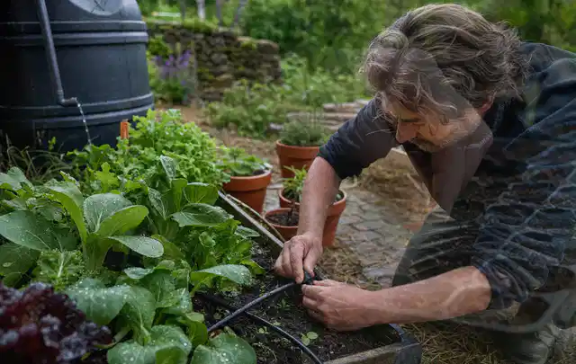 Person stellt die Bewässerung an einem bepflanzten Hochbeet ein; Thema Micro Drip Systeme, Schwerpunkt Testkriterien; Ergebnis.