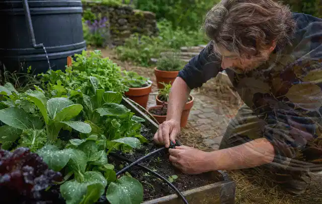 Person stellt die Bewässerung an einem bepflanzten Hochbeet ein; Thema Micro Drip Systeme, Schwerpunkt Vergleich; Ausgangslage.