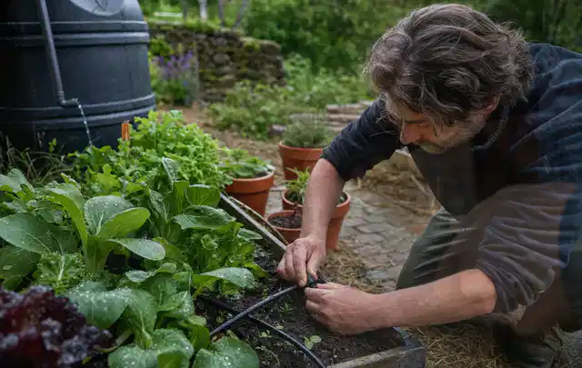 Person stellt die Bewässerung an einem bepflanzten Hochbeet ein; Thema Micro Drip Systeme, Schwerpunkt Winterlager; Kontrolle.