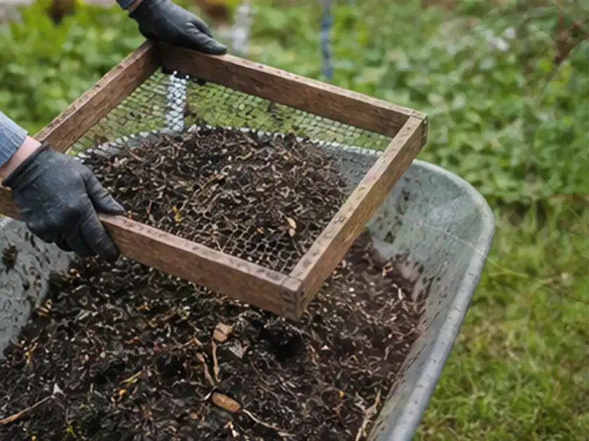 Behandschuhte Hände sieben reifen Kompost über einer Gartenschubkarre; Thema Mini Gewächshaus, Schwerpunkt Aufbau; Titelbild.