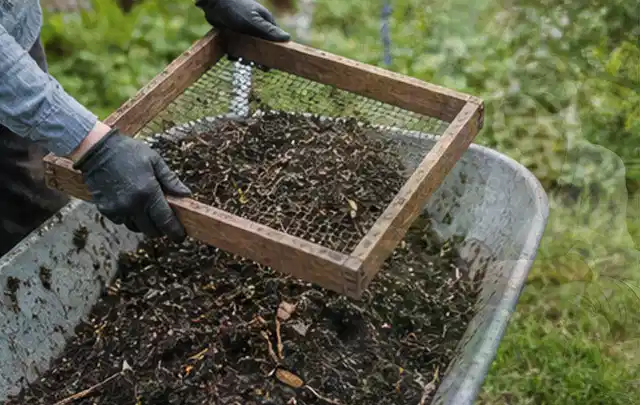 Behandschuhte Hände sieben reifen Kompost über einer Gartenschubkarre; Thema Mini Gewächshaus, Schwerpunkt Baurecht; Kontrolle.