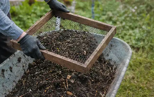 Behandschuhte Hände sieben reifen Kompost über einer Gartenschubkarre; Thema Mini Gewächshaus, Schwerpunkt Fundament; Ergebnis.