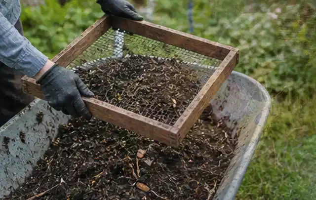 Behandschuhte Hände sieben reifen Kompost über einer Gartenschubkarre; Thema Mini Gewächshaus, Schwerpunkt Gärten mit kleiner Fläche; Ausgangslage.